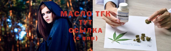 гашик Заводоуковск
