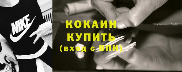 гашик Заводоуковск