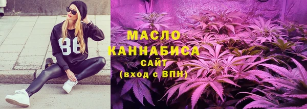 гашик Заводоуковск