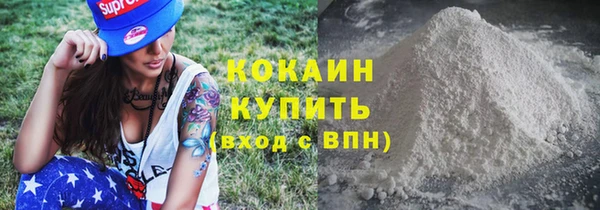 гашик Заводоуковск