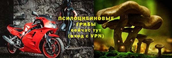 гашик Заводоуковск