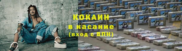 гашик Заводоуковск