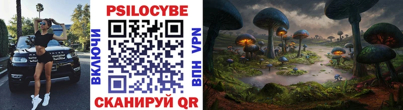 Купить где  Омутнинск  Галлюциногенные грибы GOLDEN TEACHER 