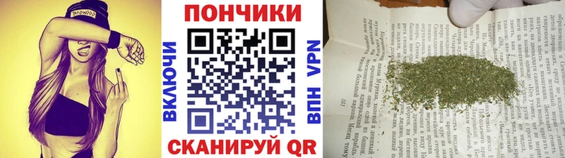 Купить где  Омутнинск  Бошки марихуана THC 21% 